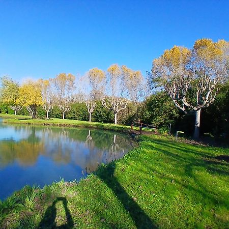 Domaine Du Lac De La Vallee La Roquette-sur-Siagne Екстер'єр фото